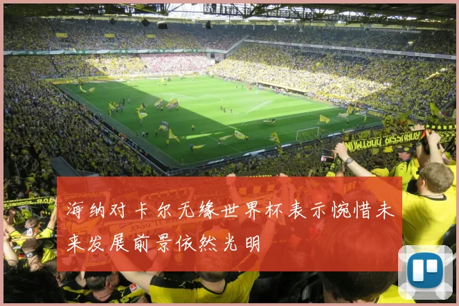 海纳对卡尔无缘世界杯表示惋惜未来发展前景依然光明